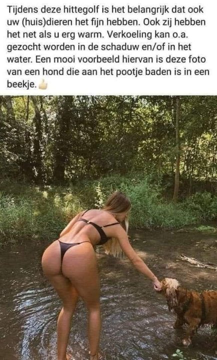 FB_IMG_1686992538655.jpg