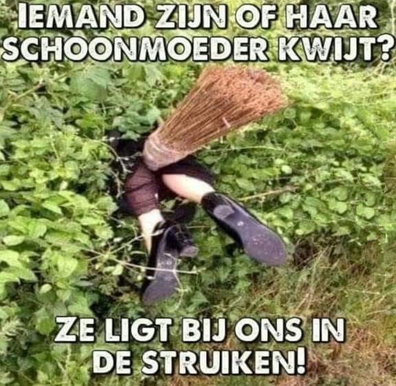 Schoonmoeder.jpg.3eeff0539f6109595284de47a792a7be.jpg
