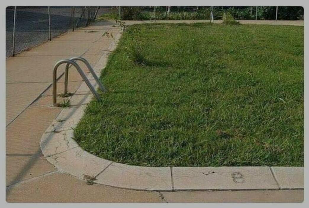 Zwembadvoorveganisten.jpg.d7e57d57e606360adf8e31f9c6a73e79.jpg