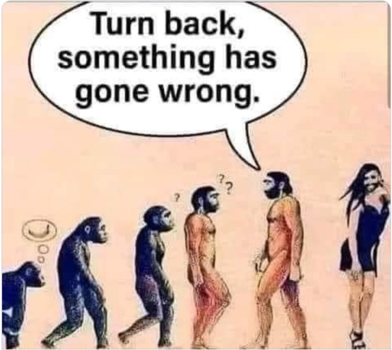 foutindeevolutie.thumb.jpg.e9a65c6adca6e6fe432381bc5c2f2b28.jpg