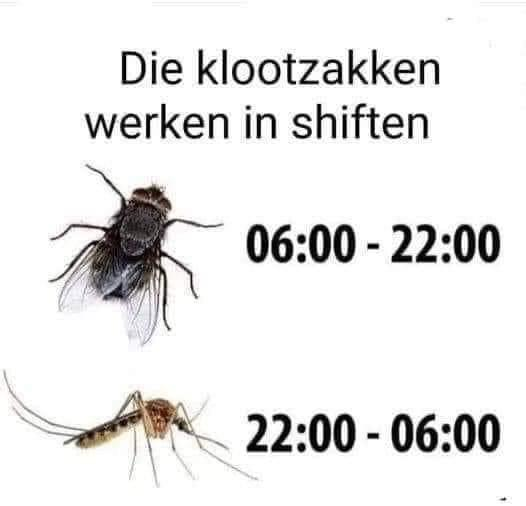image.png.ceee442cb675468d7044c4d676aeebac.png
