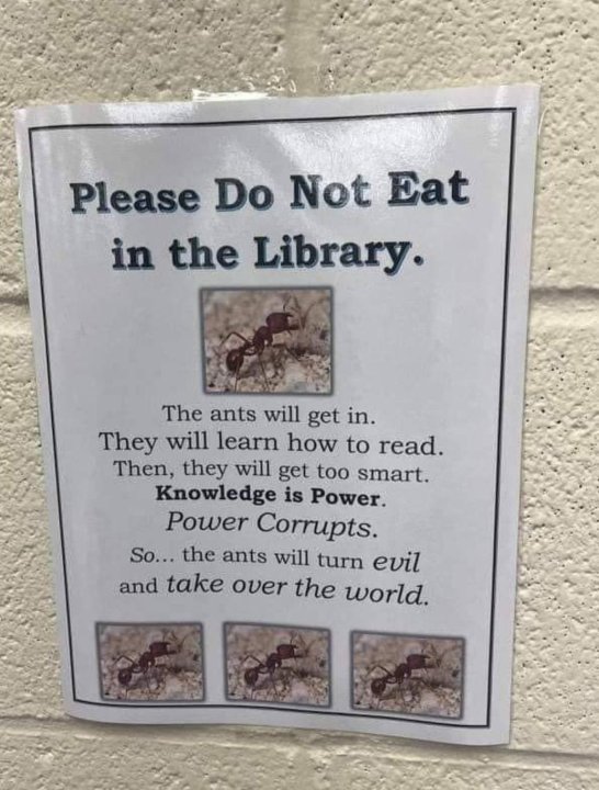 Ants.thumb.jpg.a5464fa06f5b780bd38bad82e4f8001b.jpg