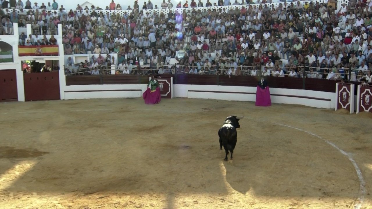 vlcsnap-2023-08-27-20h19m12s093.jpg
