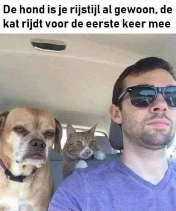 Kat.thumb.jpg.9d6eea88d76c1a9c0abf12b3274412a9.jpg