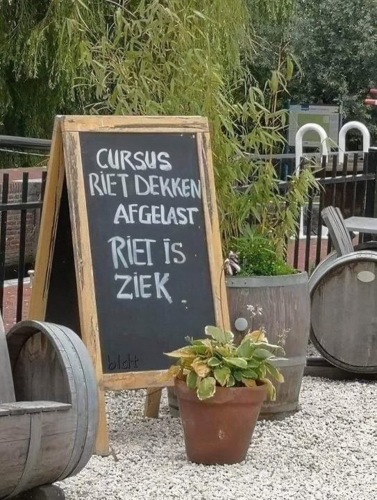 Riet.thumb.jpg.03f31a066d734063361a454af4e99f1a.jpg