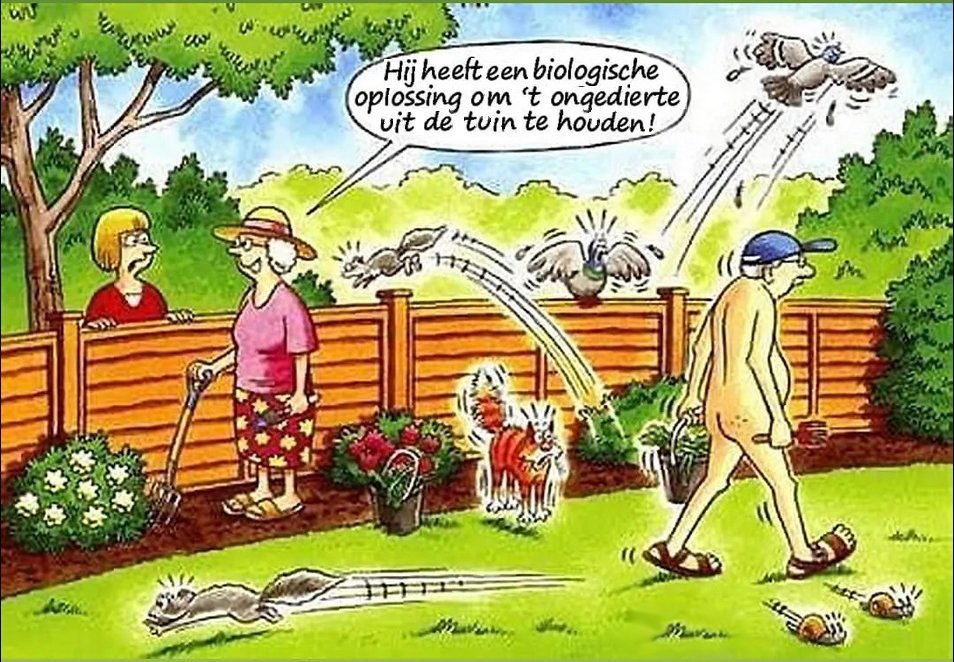 ongedierte.jpg.3dfda1b5a4af09f30db68a7024f49f14.jpg