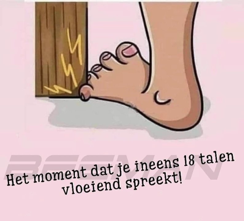 18talen.thumb.jpg.bb1634a60f5e9d402d4698ea9b8524d4.jpg