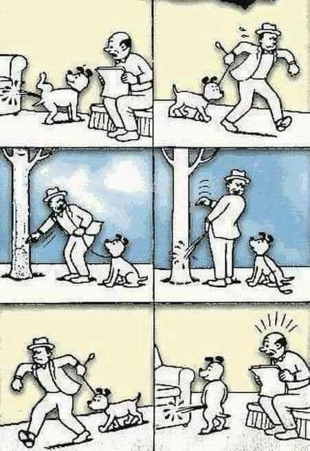 Dogtraining.jpg.095d52834960afb2bc4b5c3e92571bb9.jpg