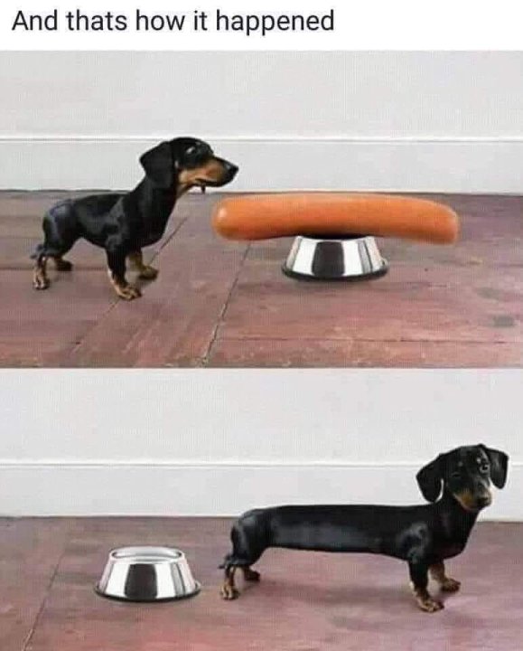 Hotdog.thumb.jpg.e06d81de1d6bd5e76ca006bd5c0edb33.jpg