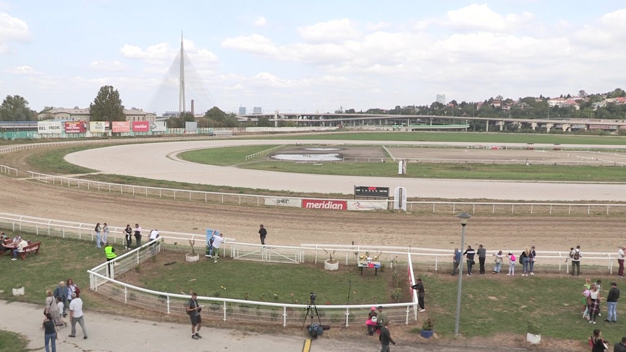 vlcsnap-2023-10-01-14h04m49s946.jpg