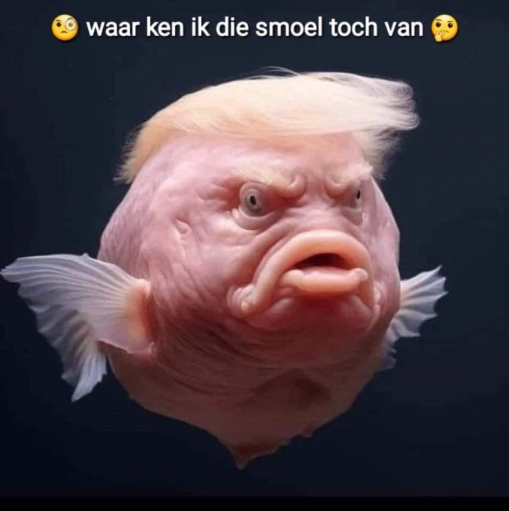 AfbeeldingvanWhatsAppop2023-10-30om09_39.13_c14d90f3.thumb.jpg.f8e3b118303cb0ce79396f0ac7909228.jpg