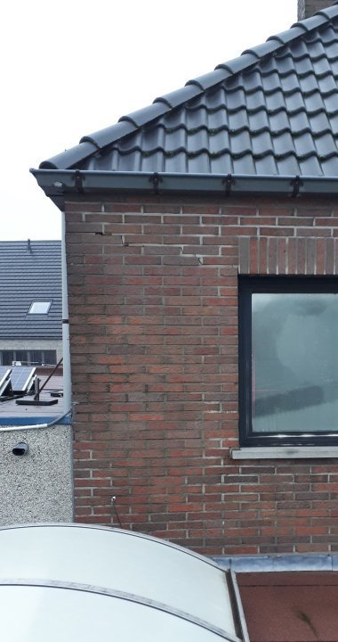 Muurwaarbeugelopmag.thumb.jpg.1e3c68f43038992bd811be449caae8a7.jpg