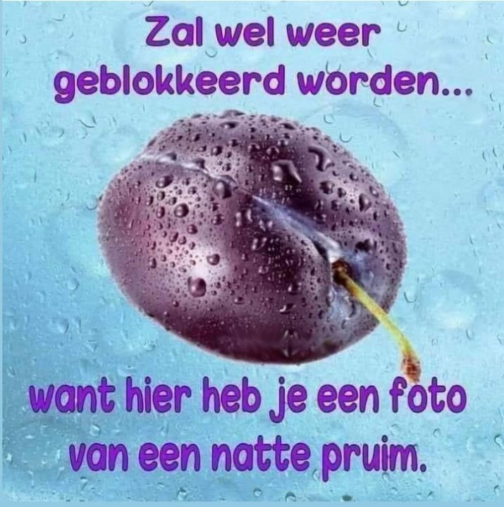 Nattepruim.thumb.jpg.6b43edc3a67259afa19ce7e257a1ec5f.jpg