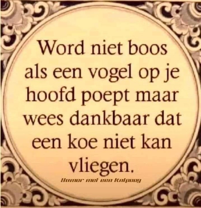 koe.thumb.jpg.04deeff7ce6f2bb445bda3c10c8901a5.jpg