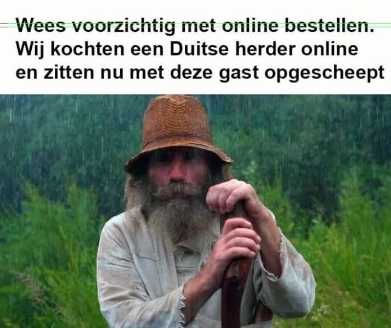 DuitseHerder.jpg.8273b3e1ab5351b7fc5fef53b0242caf.jpg