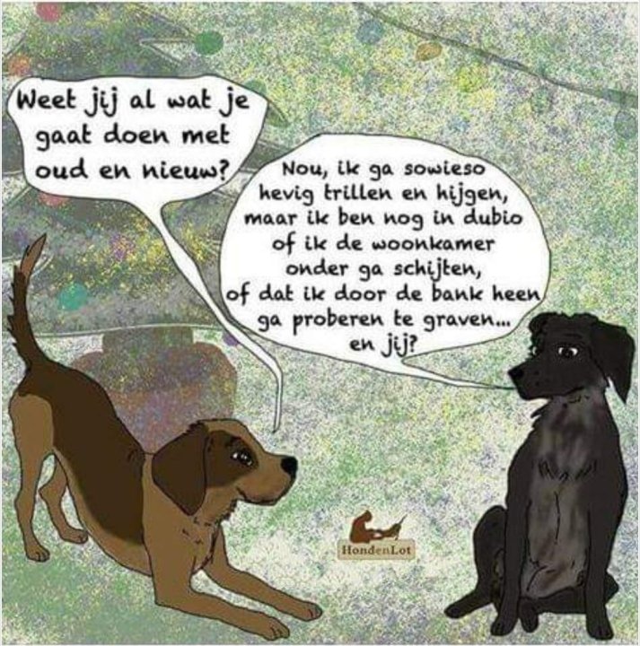 Honden.thumb.jpg.72a70af4cfd23f8ea740e96645912b29.jpg