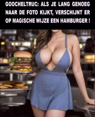 hamburger.jpg.43395ab309bb2ed7f8ec38c74e71b9ff.jpg