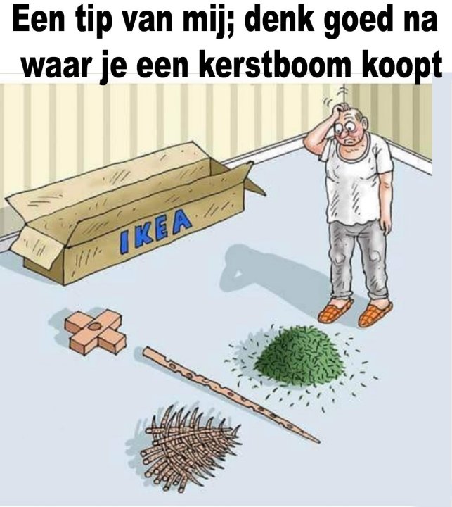 kerstboom.thumb.jpg.a813e7fe646abc249a52bf5cc709536b.jpg
