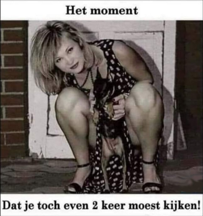 2keerkijken.jpg.d39eb3d0184298342fc591498186d9cb.jpg