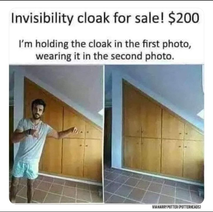 Cloack.thumb.jpeg.9977eeb9e0db7465e90155351f8e0d2b.jpeg