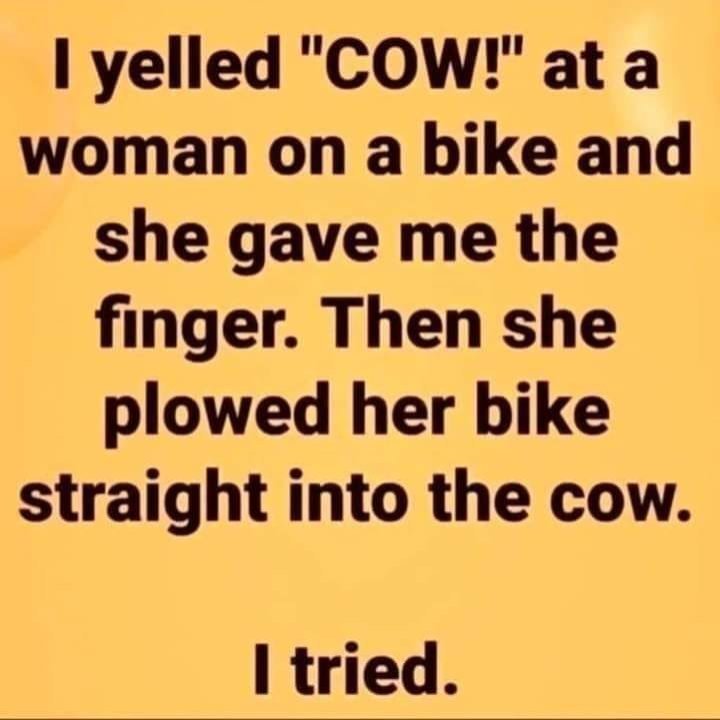 Cow.thumb.jpg.be5c2eb29c388b641986c624f535e164.jpg
