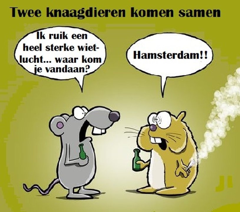 Hamsterdam.thumb.jpg.70aad19a55f2d6cfb0f0541123a83b91.jpg