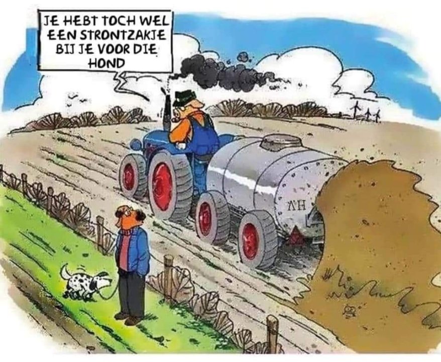 Hond.jpg