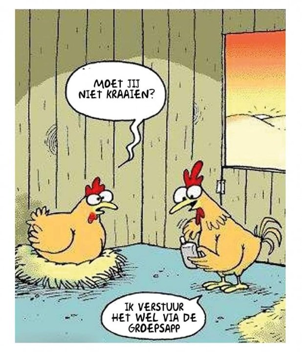 Kraaien.jpg