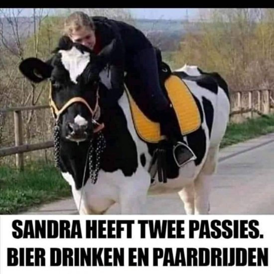 image.jpeg.adc1698d6025b3fd6264c013e88df2c2.jpeg