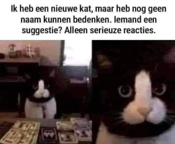 nieuwepoes.jpg.0bbd7bdaa6fac3347b6e07938bfe95e3.jpg
