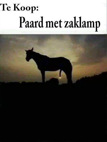 paardmetzaklamp.jpg.5b14509f49327897d5b91e2934b22a29.jpg