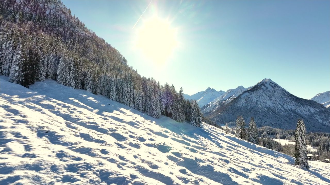 vlcsnap-2024-01-13-12h12m00s613.jpg