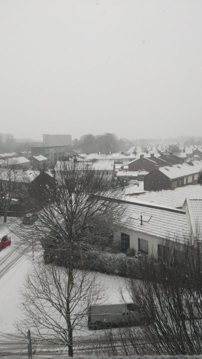 winter2024-01.thumb.jpg.1f55c878d2d1345aed4a874425951099.jpg