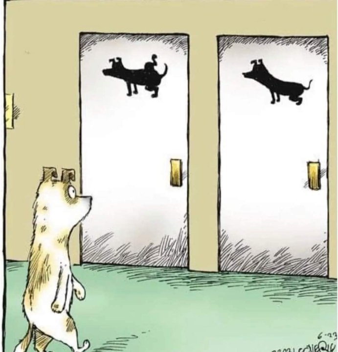 Hondentoilet.jpg