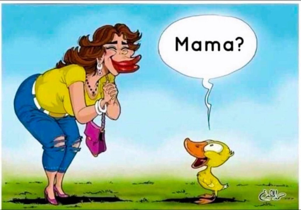Mama eend.jpg