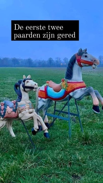 Paarden.thumb.jpg.6e0020fe11fc68f764cd3606d40a874f.jpg