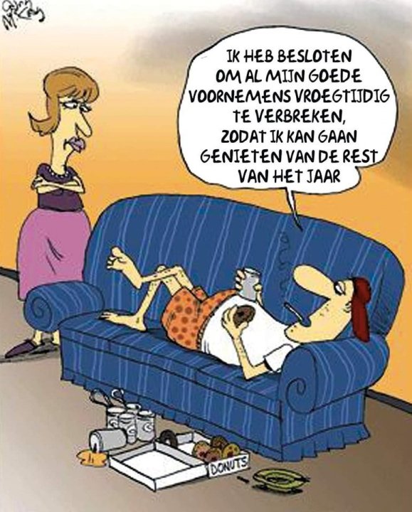 Voornemens.jpg