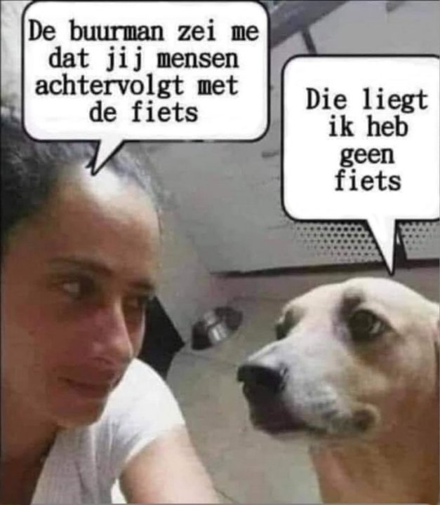 hondachtervolgtfietsers.thumb.jpg.68a1fc9a8a8b363a7e8ed5c3f16a2e39.jpg