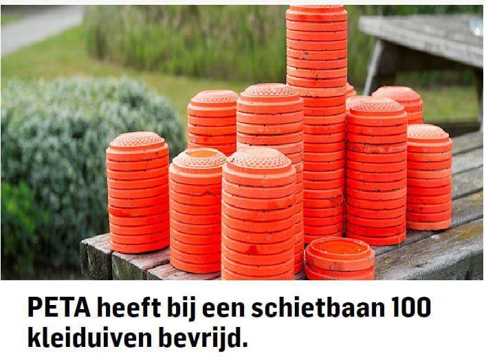 peta.jpg.7fee15c352b3099eb292194d11887b39.jpg