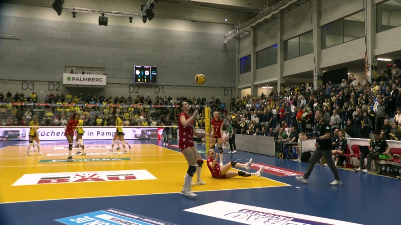 vlcsnap-2024-02-10-17h53m06s376.jpg