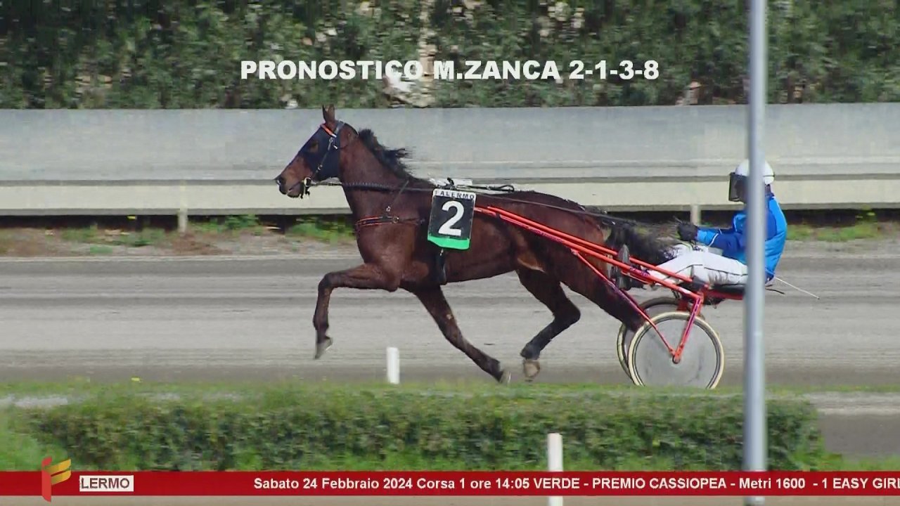 vlcsnap-2024-02-24-14h20m02s909.jpg