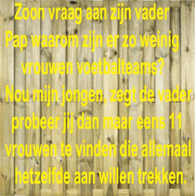 vrouwenvoetbal.jpg.16eef9781922915ef5790357fbfc6bcd.jpg