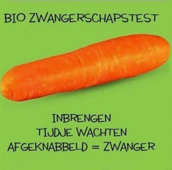 zwangerschapstest.jpg.ade20b4b272a90cd699ab6cbc32a3f50.jpg