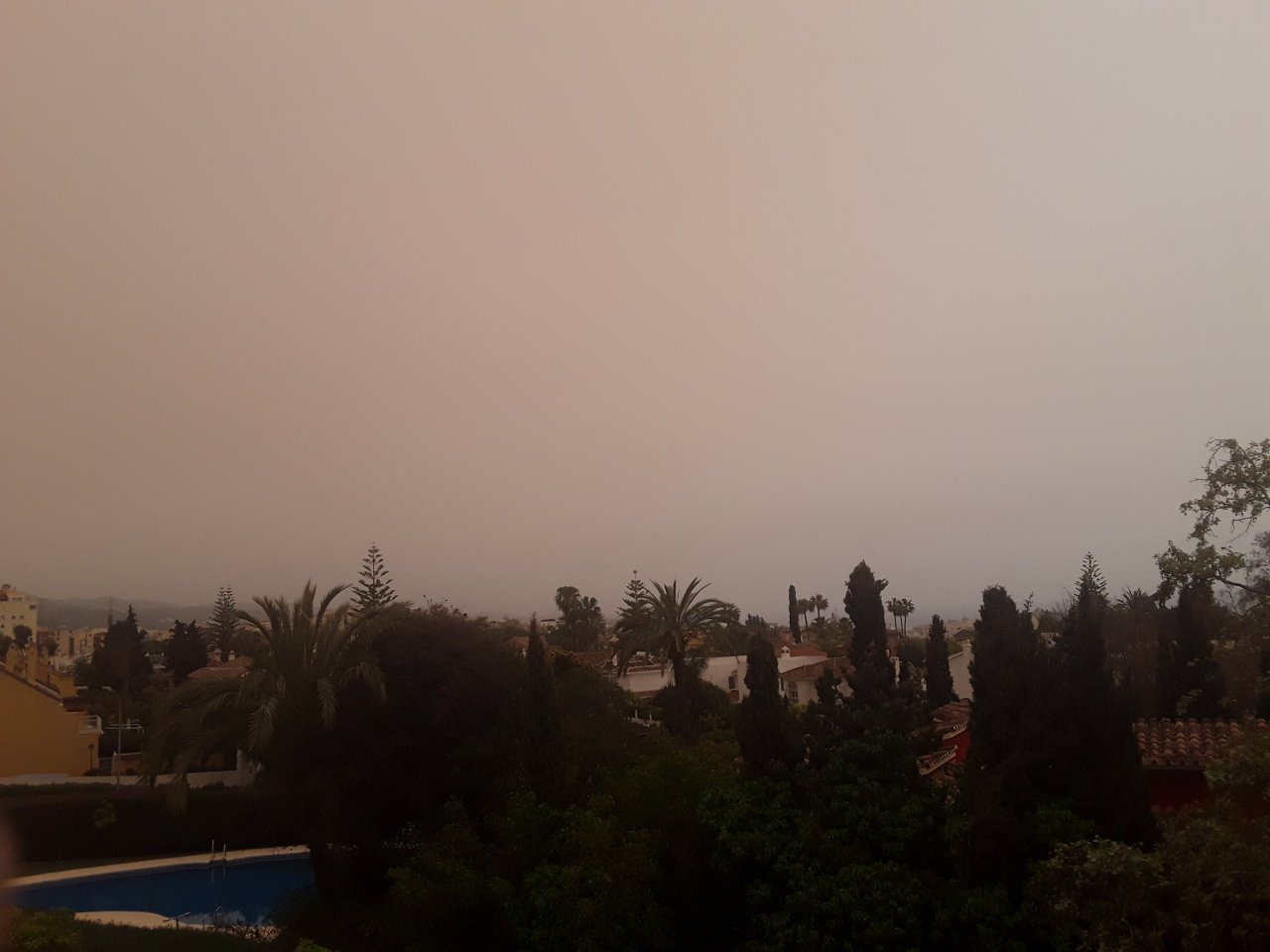 20240321_163449.jpg