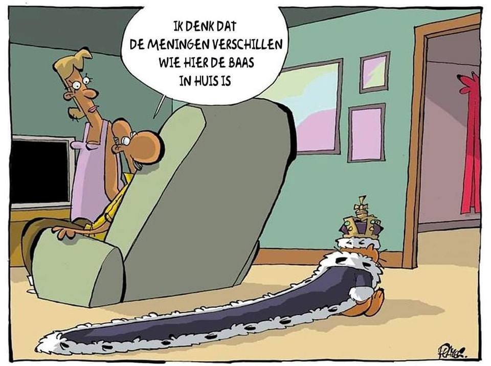 Baas.jpg.1922bbb6850da01986de34470cdecdb7.jpg