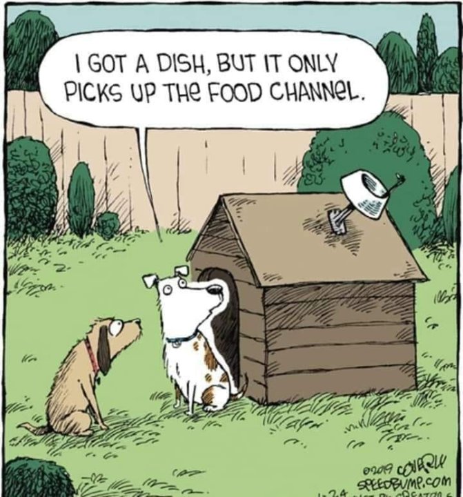 Food Channel.jpg