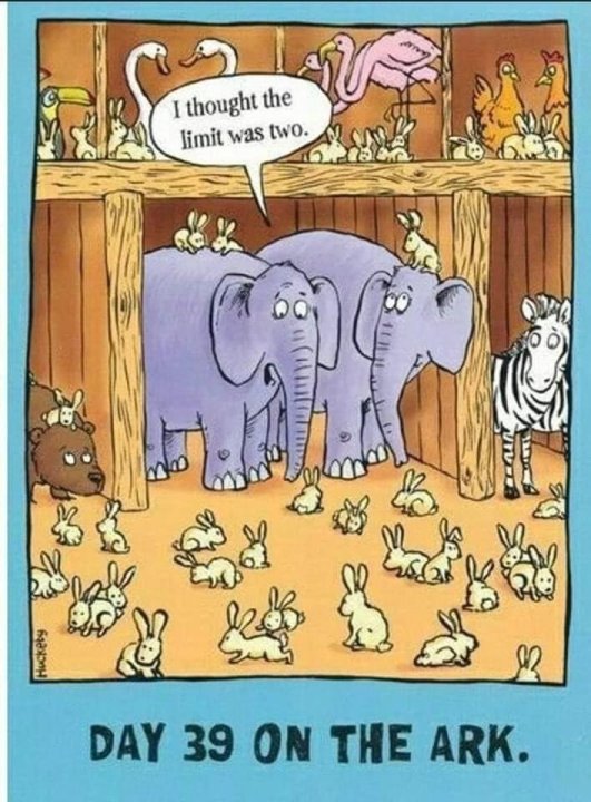 Met 2.jpg