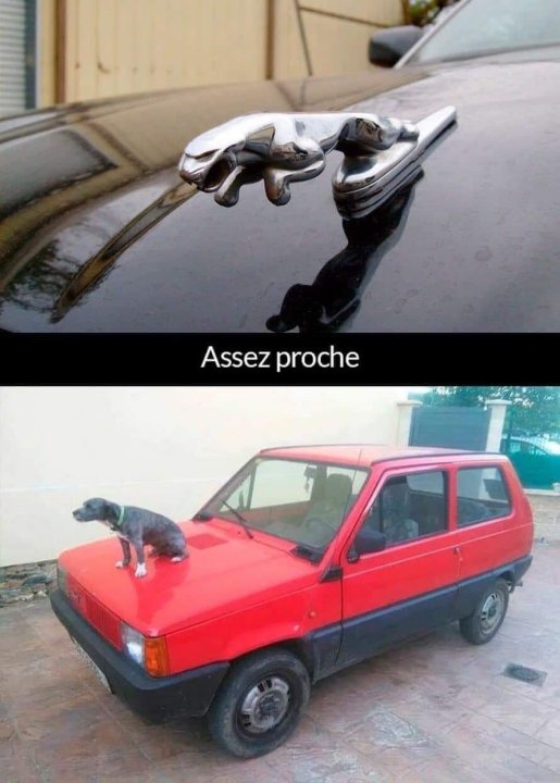 Mooie wagen.jpg