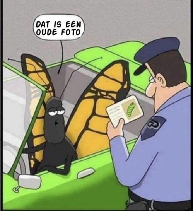 Oude foto.jpg