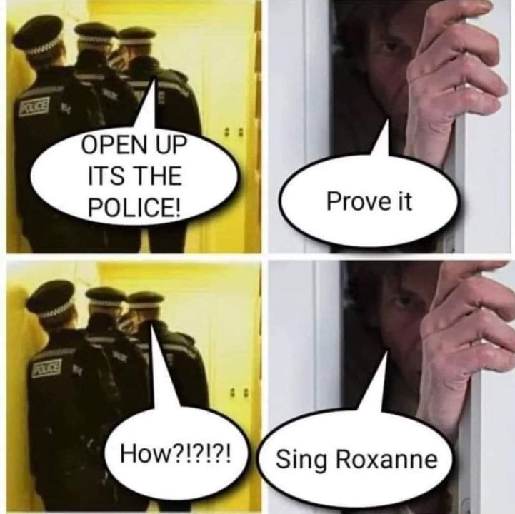 Roxanna.thumb.jpg.007f02f93931fb2b6117f377d0e043f5.jpg